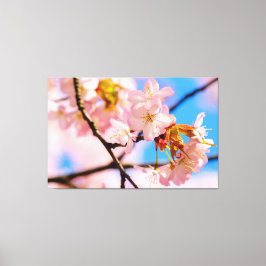 Rosa Sakura Blommor På En Varm Vårdag Canvastryck