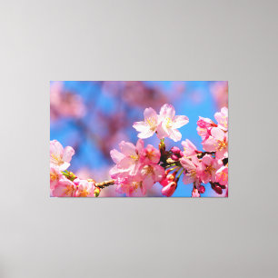 Rosa Sakura Blommor På Ett Träd På Våren Canvastryck