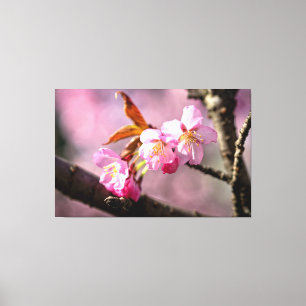 Rosa Sakura Blommor På Ett Träd På Våren Canvastryck