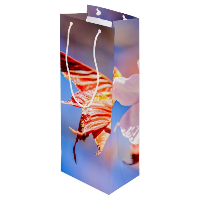 Rosa Sakura Flower Blå himmel (Baksidan Vinklad)