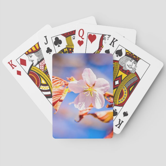 Rosa Sakura Flower Blå himmel Casinokort (Baksidan)