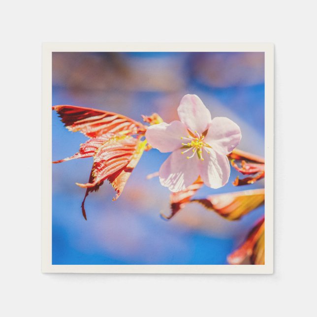 Rosa Sakura Flower Blå himmel Pappersservett (Framsidan)