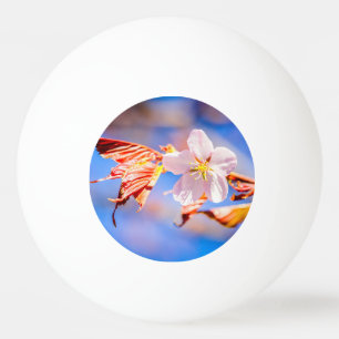 Rosa Sakura Flower Blå himmel Pingisboll