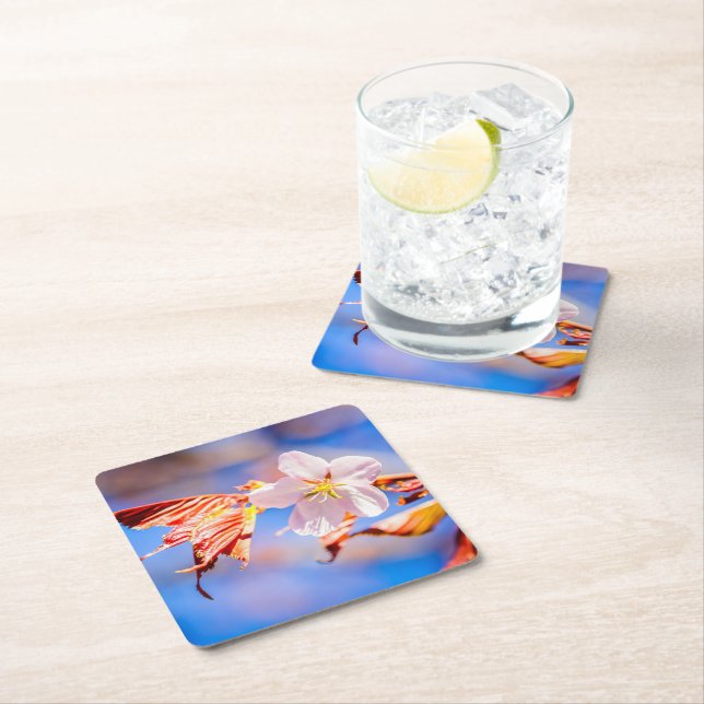 Rosa Sakura Flower Blå himmel Underlägg Papper Kvadrat (Insitu)