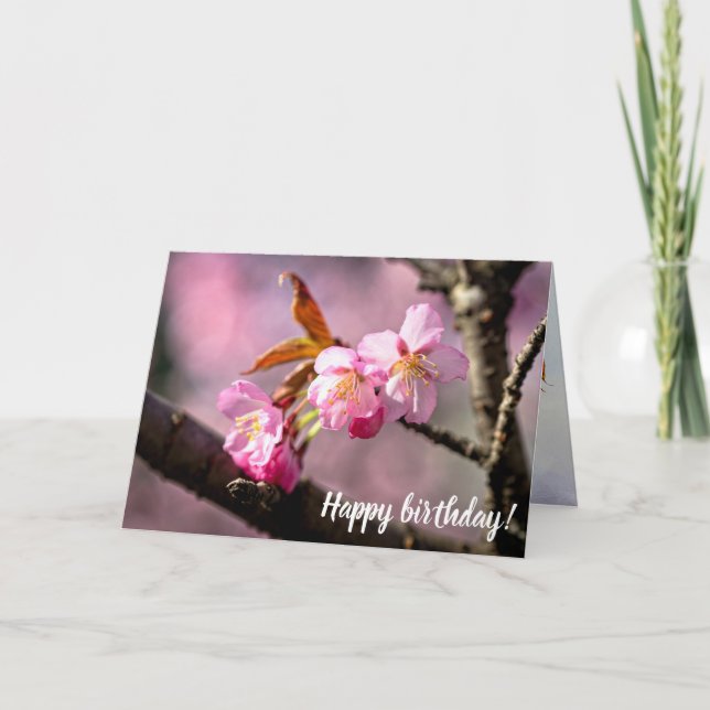 Rosa Sakura Flowers A Träd i Springtime Kort (Framsida)