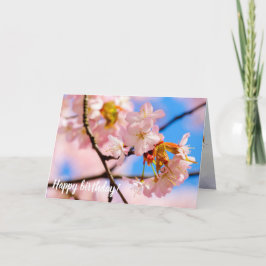 Rosa Sakura Flowers på en varvsdag på Springtime Kort