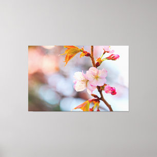 Rosa Sakura mot den grå bakgrunden Canvastryck