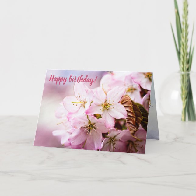 Rosa Sakura mot Rosa bakgrund Kort (Framsida)