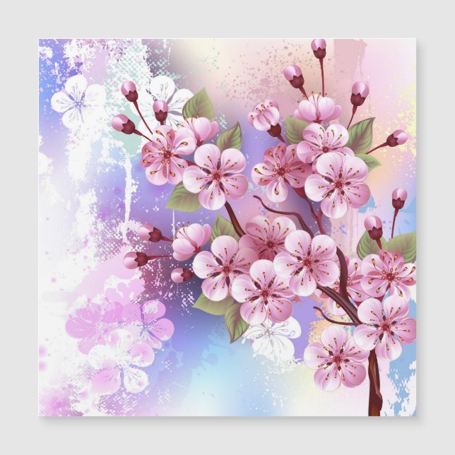 Rosa Sakura på målningsbakgrund (Framsida)