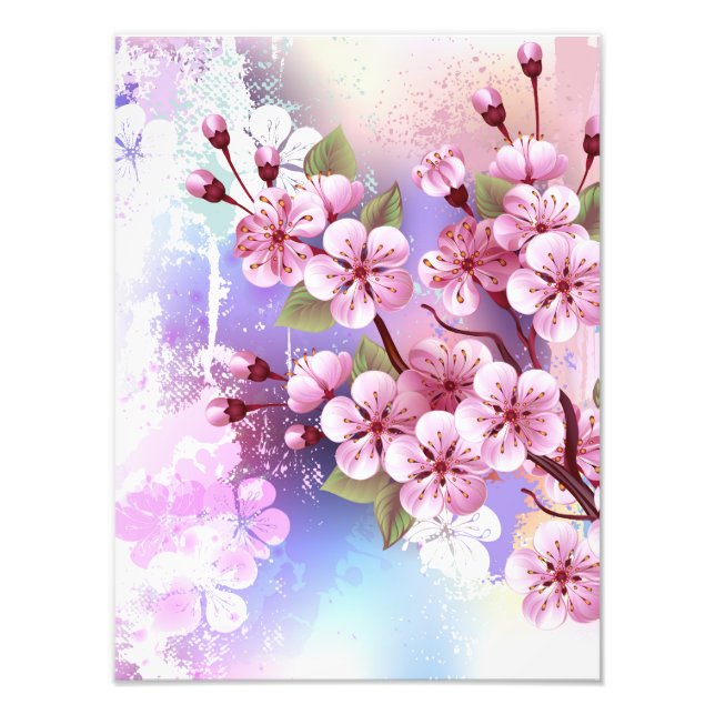 Rosa Sakura på målningsbakgrund Fototryck (Framsidan)