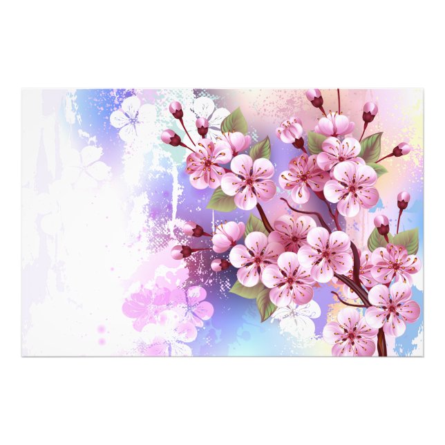 Rosa Sakura på målningsbakgrund Fototryck (Framsidan)