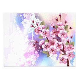 Rosa Sakura på målningsbakgrund Fototryck