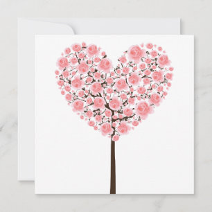 Rosa sakura träd (Cherry blommar)