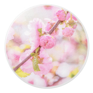 Rosa sakurablommor - Japanska körsbärsblommor Knopp