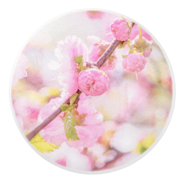 Rosa sakurablommor - Japanska körsbärsblommor Knopp (Framsidan)