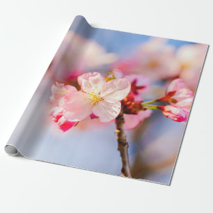 Rosa Sakurablommors sjörövhet Presentpapper