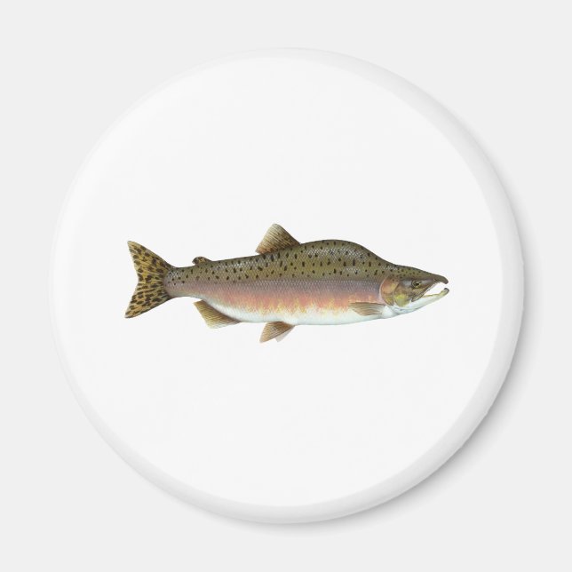 Rosa Salmon Magnet (Framsidan)