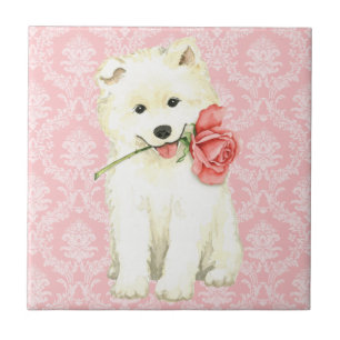 Rosa Samoyed för valentin Kakelplatta