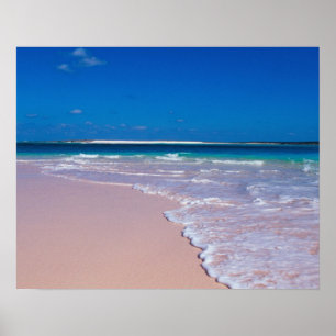 Rosa sandstrand vid Conch Bay, Cat Island, Poster