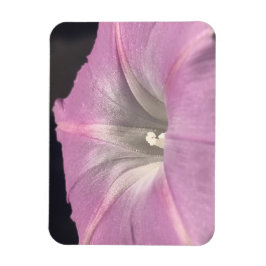 Rosa Satin Äktenskaplig Praktgloria Magnet