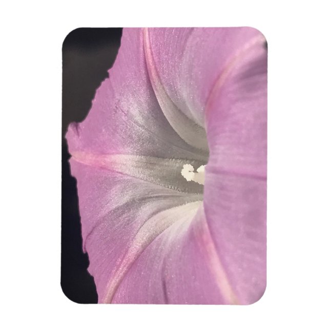 Rosa Satin Äktenskaplig Praktgloria Magnet (Vertikal)