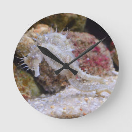 Rosa Seahorse Sea Creator Rund Klocka