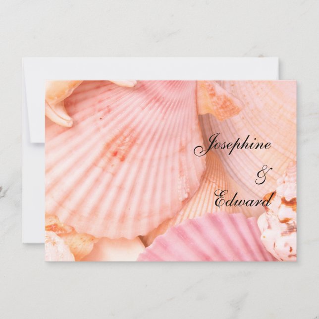 Rosa Seashells (Framsida)