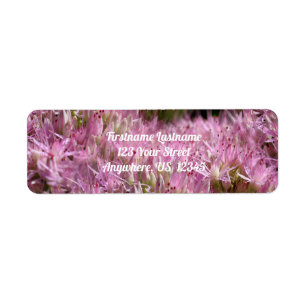 Rosa Sedum Autumn Flowers Multiplied Adress Returadress Etikett