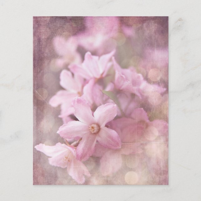 Rosa Shabby Flowers & Bokeh Scrapbook Ephemera (Framsida)