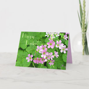 Rosa Shamrock Flowers Glad påsk Card Helgkort