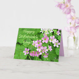 Rosa Shamrock Flowers Lycklig St patrick's day Car Kort