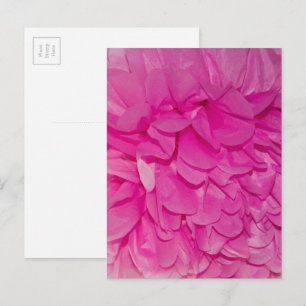 Rosa silkpapperblomma realistisk textur foto vykort