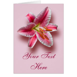 Rosa Single Stargazer Lily Hälsningskort
