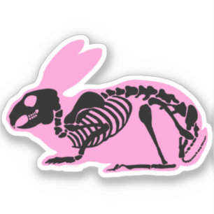 Rosa Skeleton Rabbit Klistermärken