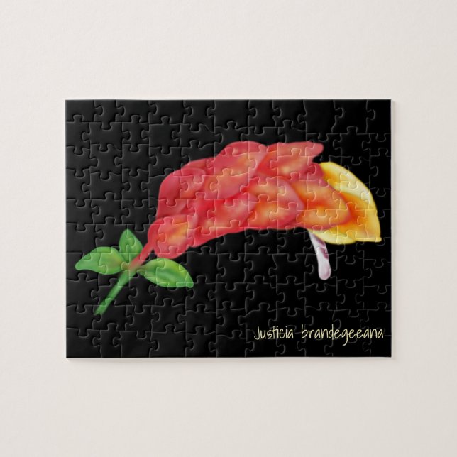 Rosa Skrimp Plant Flower Illustration Pussel (Horisontell)