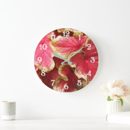 Rosa skrynkliga Caladium blad Blommig Stor Klocka
