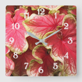 Rosa skrynkliga Caladium blad Blommig Stor Klocka