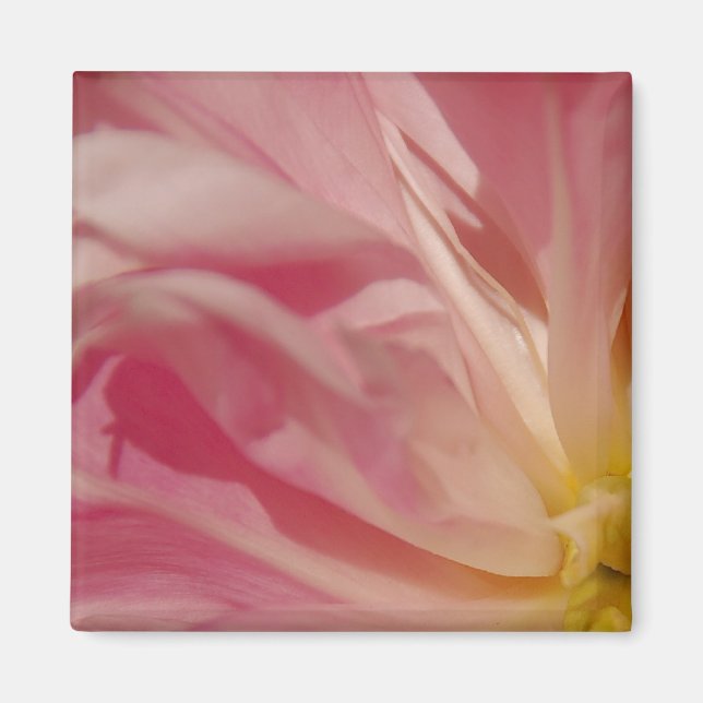 Rosa Skugga Magnet (Framsidan)