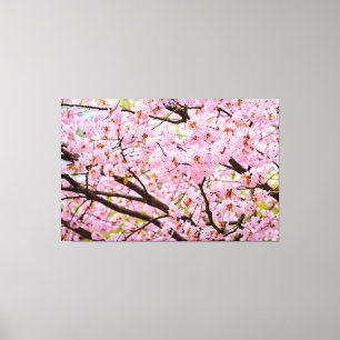 Rosa skum av körsbärsblommor över Sakura-träden Canvastryck