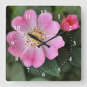 rosa små blommor fyrkantig klocka