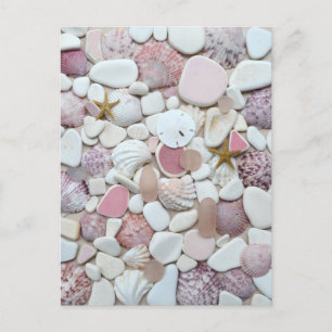 Rosa snäcka Sea glass strand glass art art fotopot Vykort