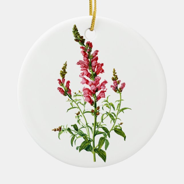 Rosa snapdragon ritad från naturen julgransprydnad keramik (Framsidan)