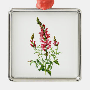 Rosa Snapdragon som dras från naturen Julgransprydnad Metall