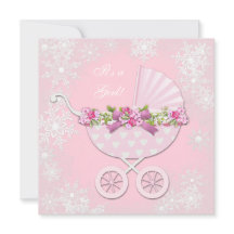 Rosa Snowflake Winter Wonderland Baby Shower