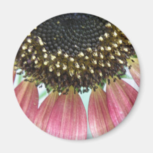 Rosa Solrosoljetrågen Magnet
