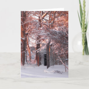 Rosa soluppgång på snövinterfotoet helgkort