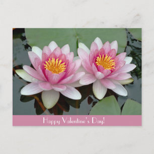 Rosa som Flyter Waterlily LotusValards-dagskort Helg Vykort