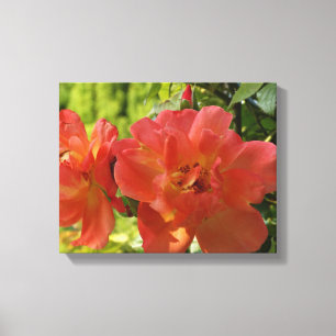 Rosa Sommar Ro Flower Photo Single Print Canvastryck