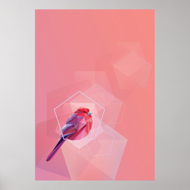 Rosa Songbird in Abstrakt Poster (Framsidan)