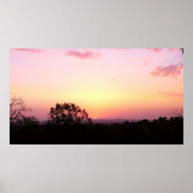 Rosa Söthet Poster (Framsidan)